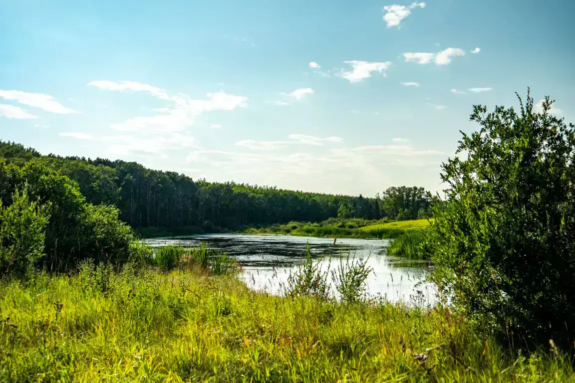 Aspen Woods property and community context